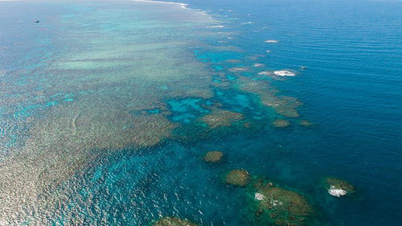 Great Barrier Reef, Australia.