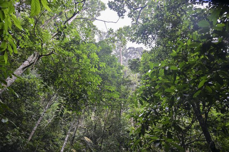 Lonjakan Wisatawan China ke Malaysia Tunjukkan Eratnya Hubungan Kedua Negara